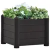 Anthracite Color