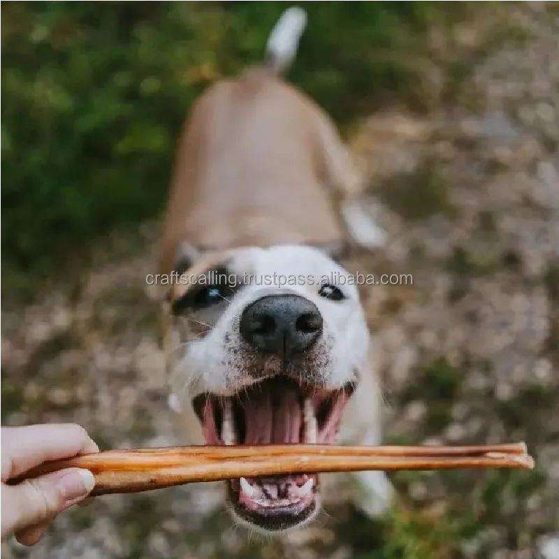 Best Quality Yak Cheese Ingredients Milk For Loving Pet Dog And Pets Dogs Toys Dog Chews From