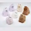 Multi