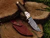 Stag-04