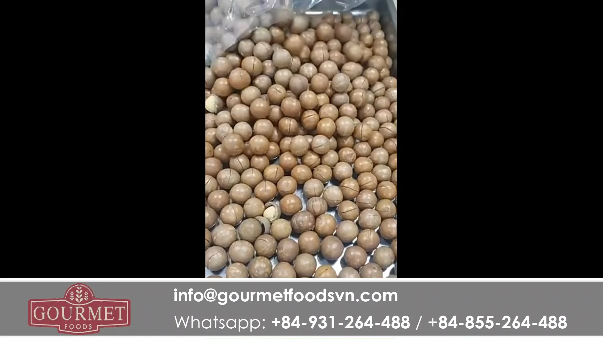 Macadamia Nuts Original From Vietnam A Grade Raw 10kgs/bag Packaging