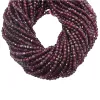 Garnet