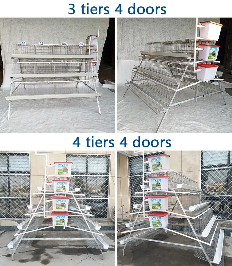 10000 Birds Automatic Chicken Egg  Layer Cages  System Laying Hens Animal  Poultry Battery Cages for Poultry Farm Prices