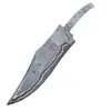 7:Overall: 10" Blade 7" Hidden Tang Tail 2.5"