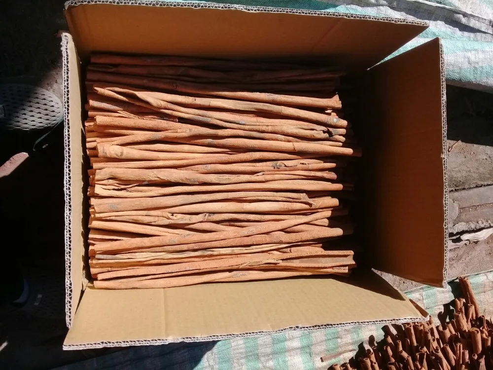 Food Grade Split Cassia Stick 8cm-20cm High Oil Content Spicy Cinnamon Cigar Dried Allspice Spice Blended Ad Drying Process - Buy Product on Alibaba.com