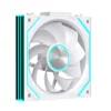 White single forward