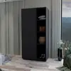 Black Color