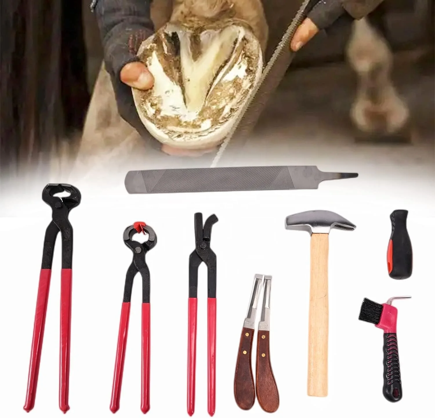 Nicoone Horse Farrier Hoof Trim Tool Kit,3Pcs Professionelle