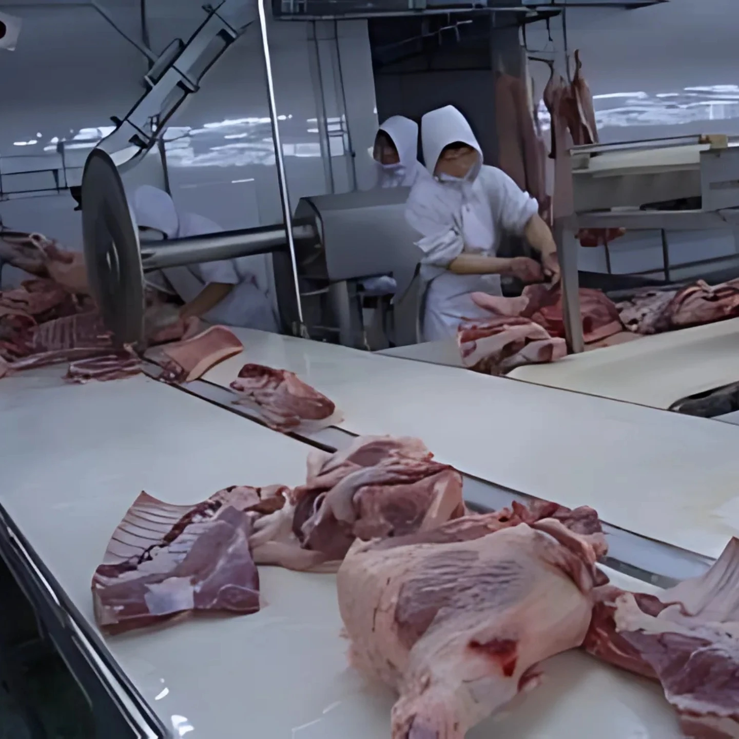 Industrial disc meat cutting saw for slaughterhouses, for cutting beef, lamb and poultry