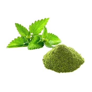 Aromatic Mint Leaves Powder Affordable Price Organic Mint Extract Peppermint Powder / Dry Mint Powder For sale