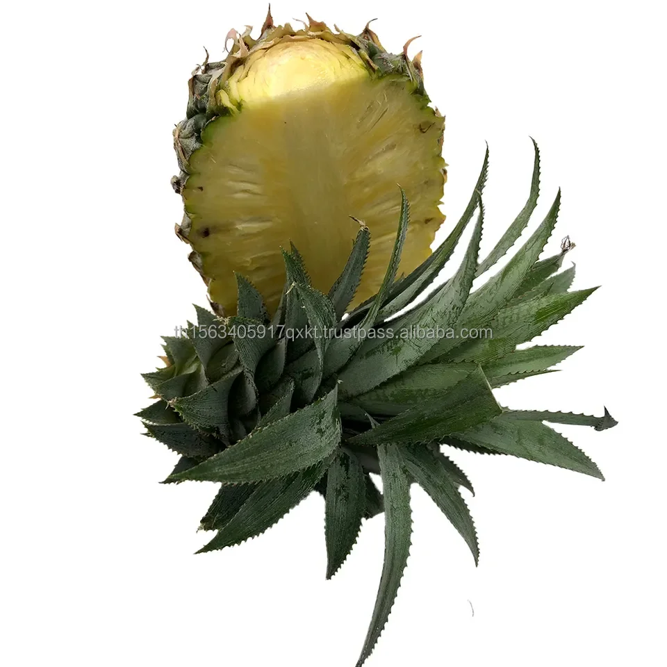 fresh Pineapple (2).jpg