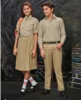 Beige Dark