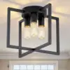 Black Color