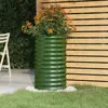 Green Color