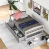 Gray Color