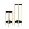 Gold/Black