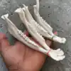 As Per Image