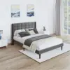 Drak Grey Color