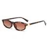 C5: Tortoise/ Brown Gradient