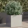 Silver1