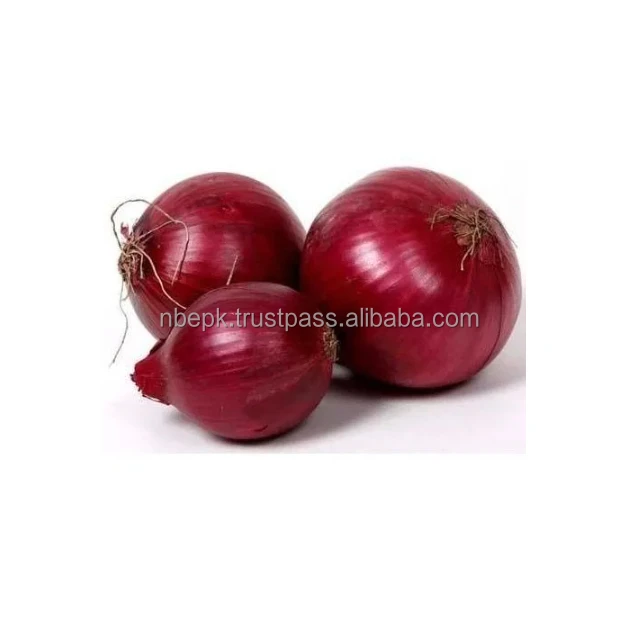Fresh Onions Walls To Reduce Inflammation And Can Also Protect The
