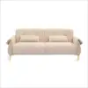 Beige Color