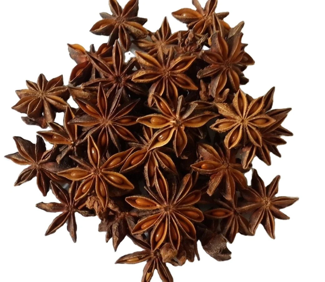 Самые дешевые вьетнамские семена сломанного осеннего аниса/аниса + 84 326055616