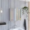 Light Gray Color
