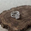 18K Gold (Moissanite)
