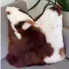 Múltiple