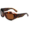 C6: Tortoise/ Brown