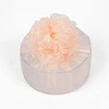 NO2 Light Coral