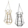 Black or Gold