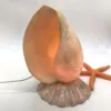 Natural