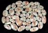 Multicolor, Vendido por peso (gramos), 12 a 14 piezas por 100 g