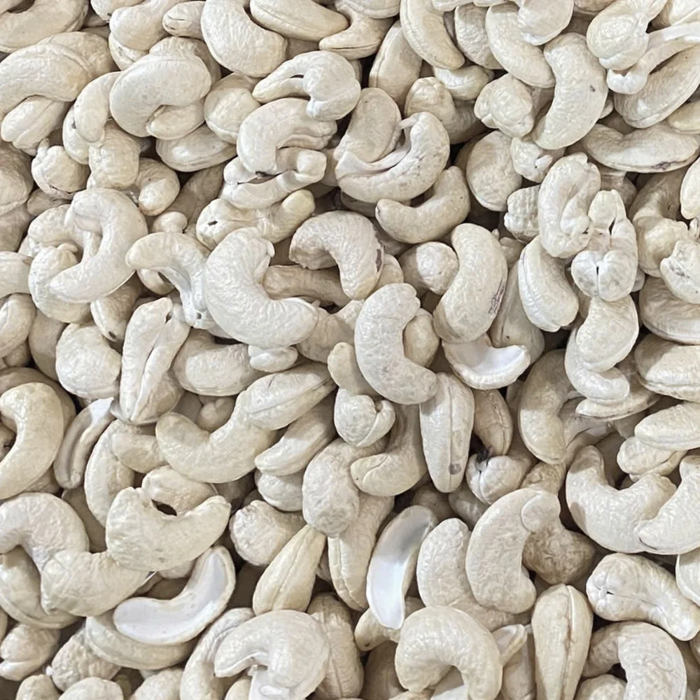 Vietnam-Trusted-Supplier-Raw-Cashew-Nuts-High-Quality-Exported-to-US-EU-Middle-East-From-Santigo-24-Months-Shelf-Life.png