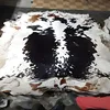 Black and White Spotted