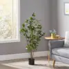 Green Color