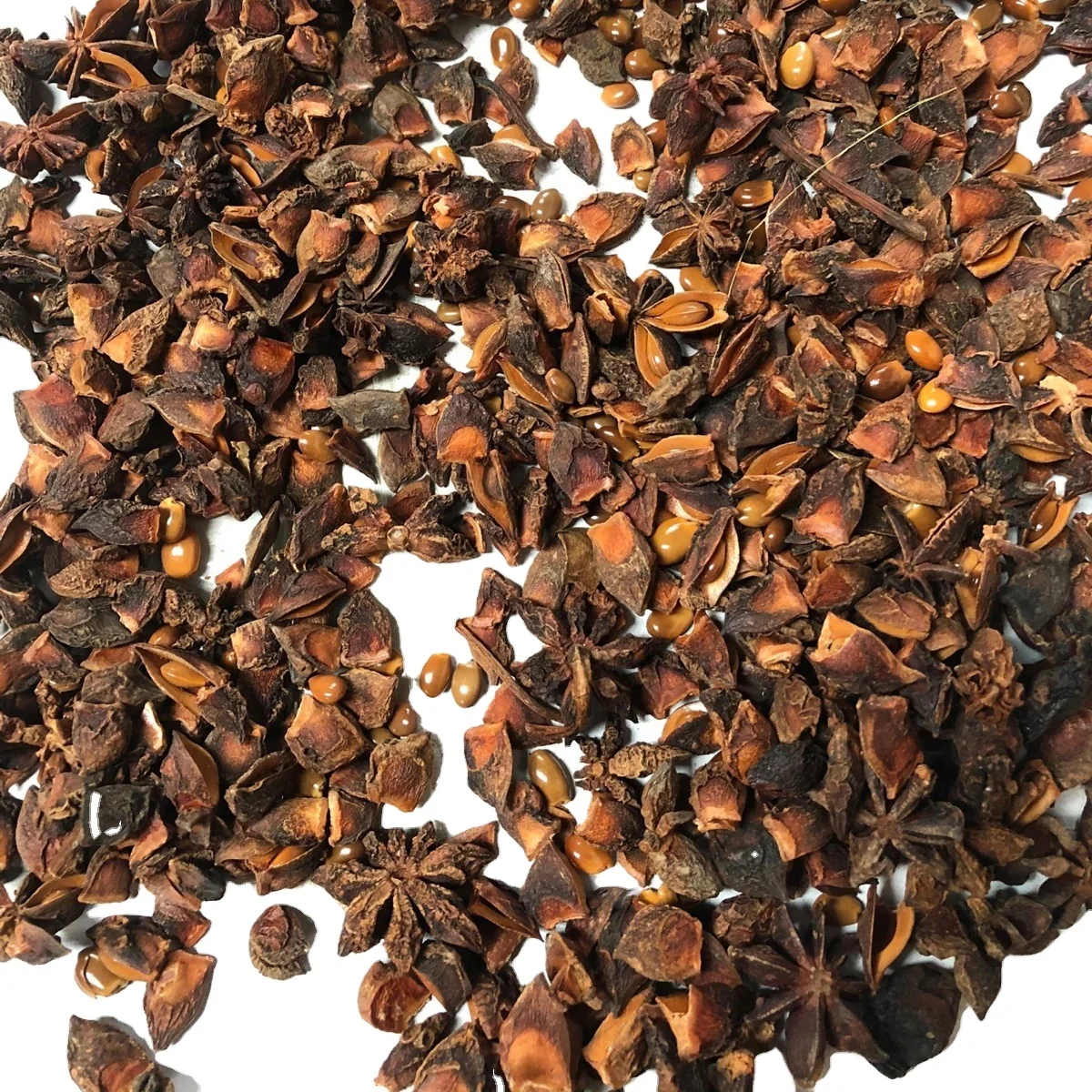 Самые дешевые вьетнамские семена сломанного осеннего аниса/аниса + 84 326055616