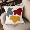 Picture Color