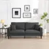 Dark Gray Color