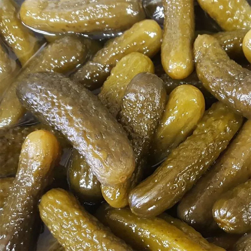 PICKLED CUCUMBER SIZE 3-6CM // Ms. Beatrix