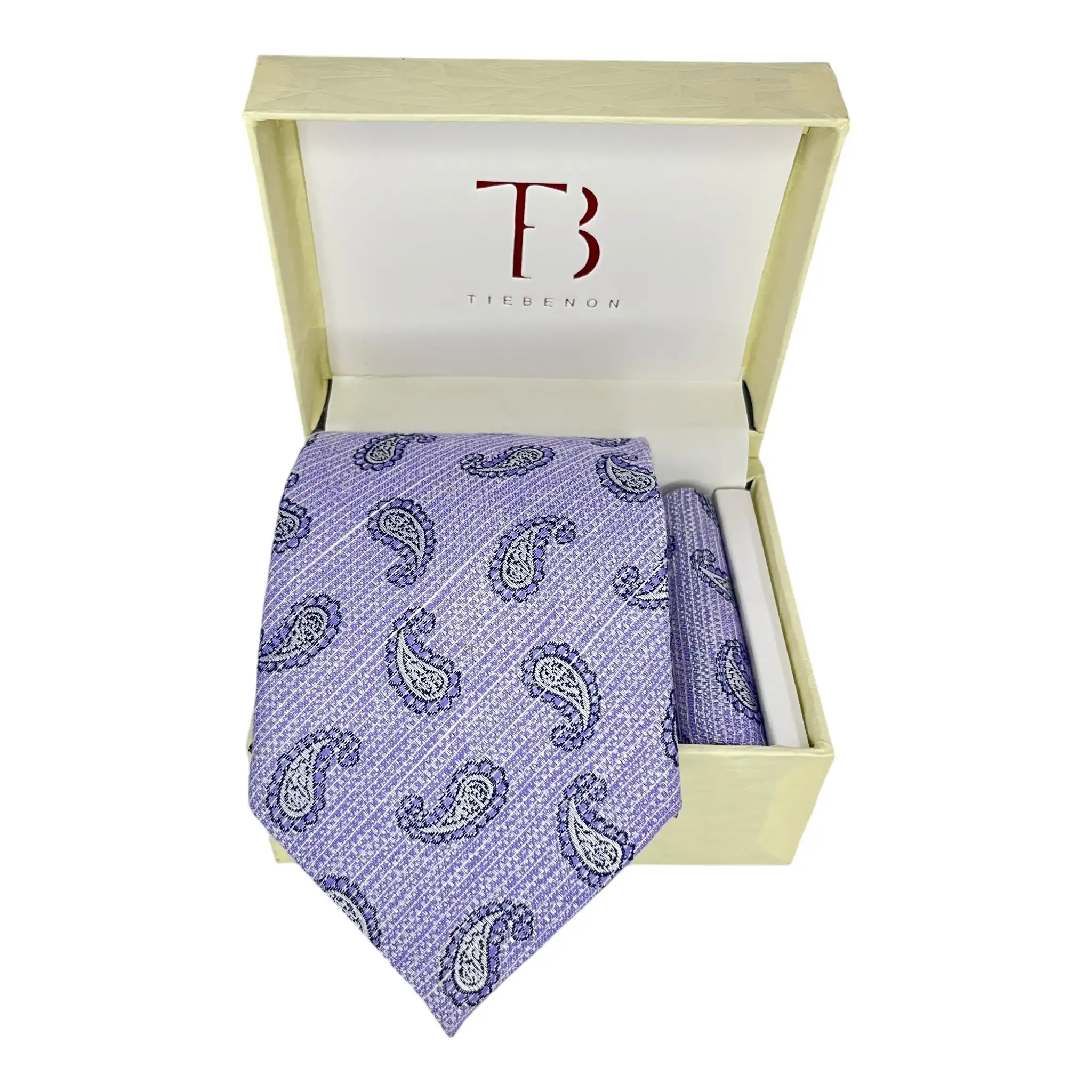 Tie Benon Paisley Broad Pattern Women's Plus Size Cashmere Tie and Pocket Square Combo Set in Lavender Maroon Blue
