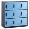 Black Body with Blue Door Color