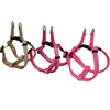 Leash price Range