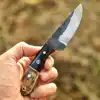 Ram Horn & Bull Horn