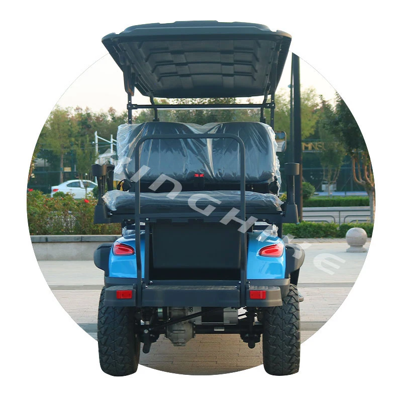 Seater Electric Golf Push Cart Cheap Wholesale Custom Street Legal Lifted Rent 2 4 6 CE 48V Race Car 3m