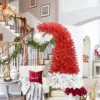 Red Color