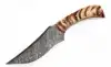 Natural Amber & Cream Textured Stag Horn