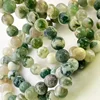 Tree Agate